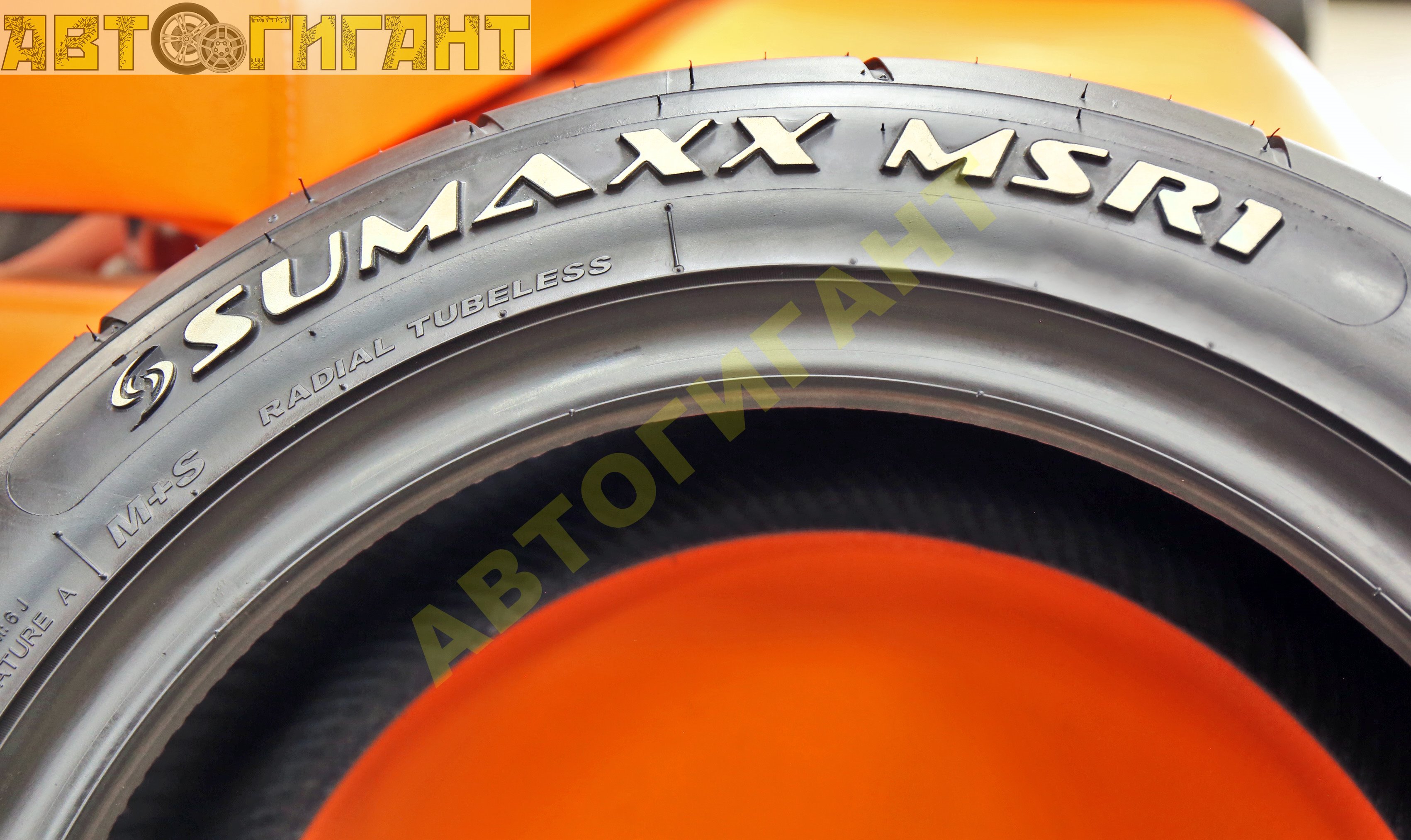 195/50R15 (MAX SPEED R1) а/шина SUMAXX лето 82V купить в Барнауле и Бийске